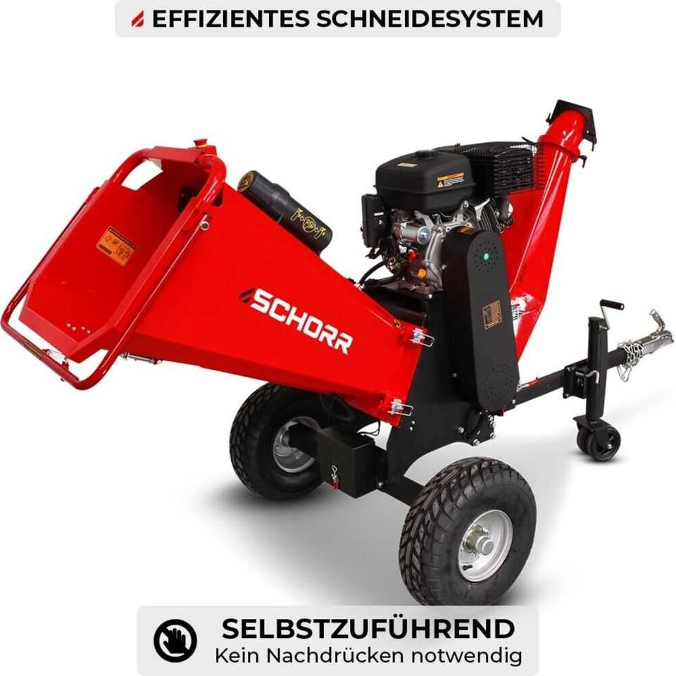 SCHORR
