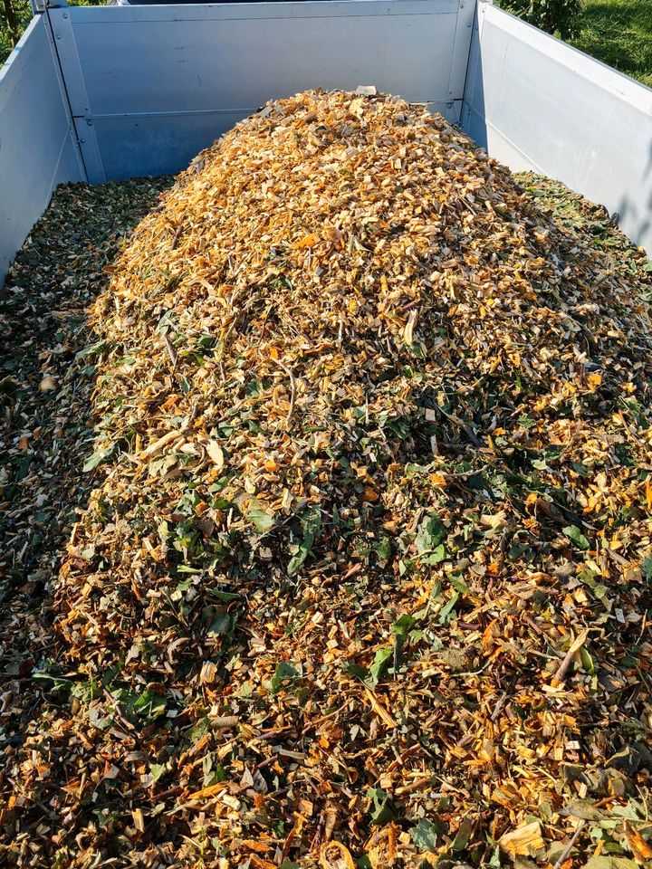 ♻️