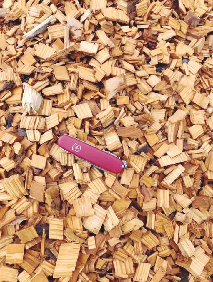 Woodzilla